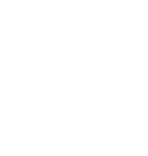 Rhino Rhino