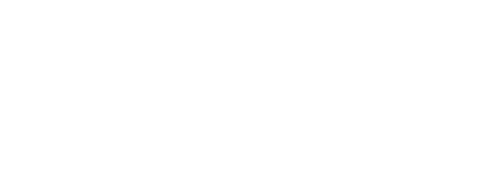 V-Ray V-Ray
