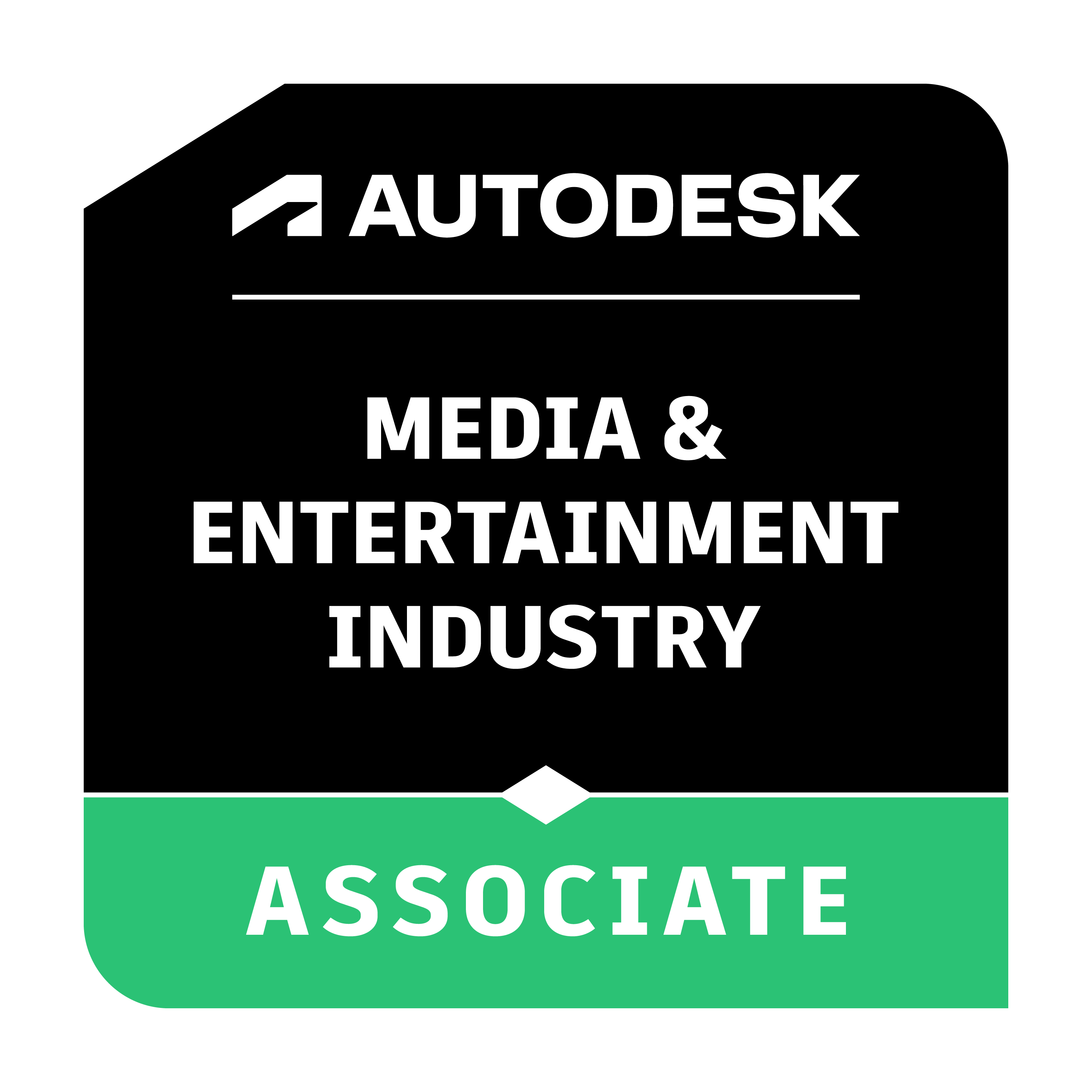 Media & Entertainment Industry