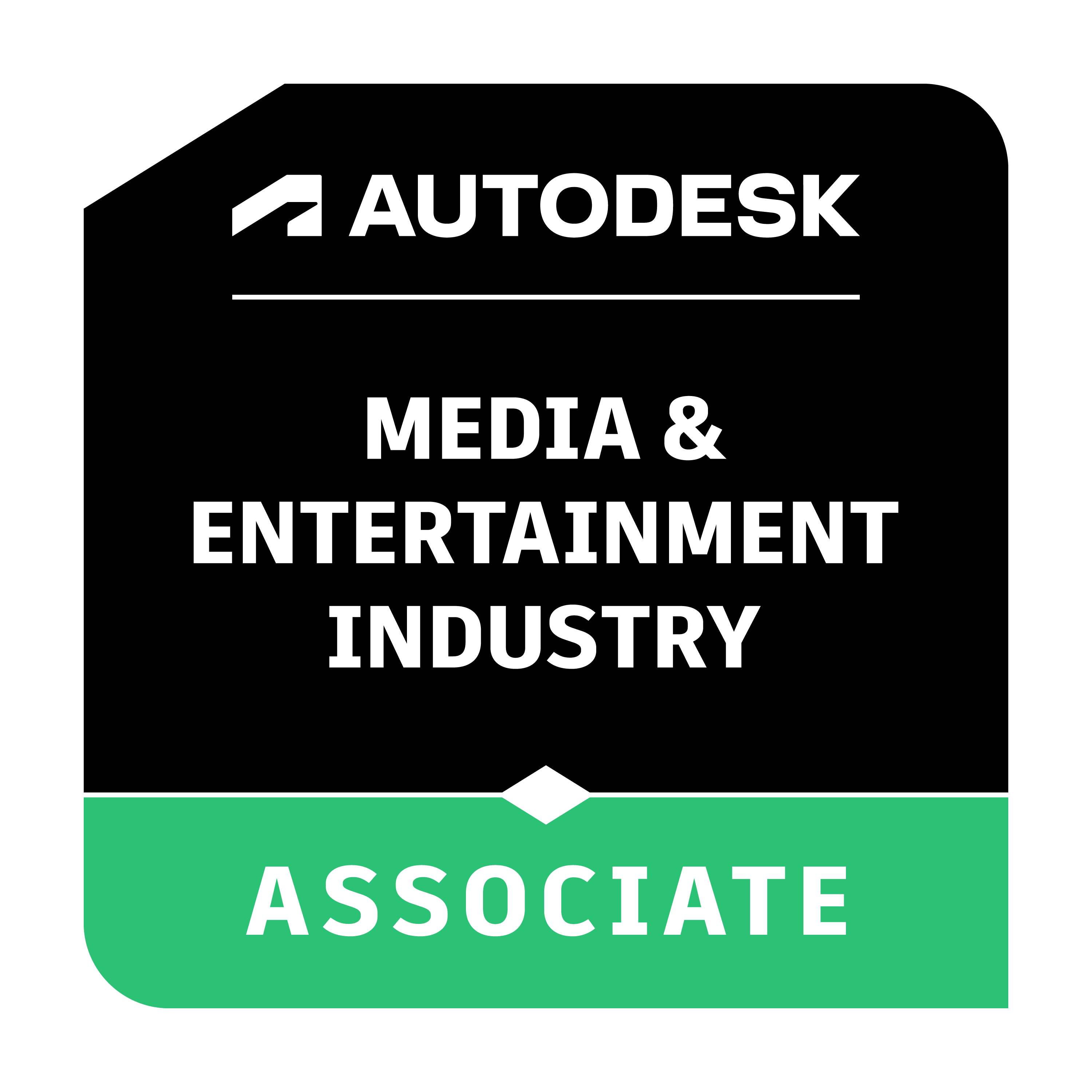 Media & Entertainment Industry